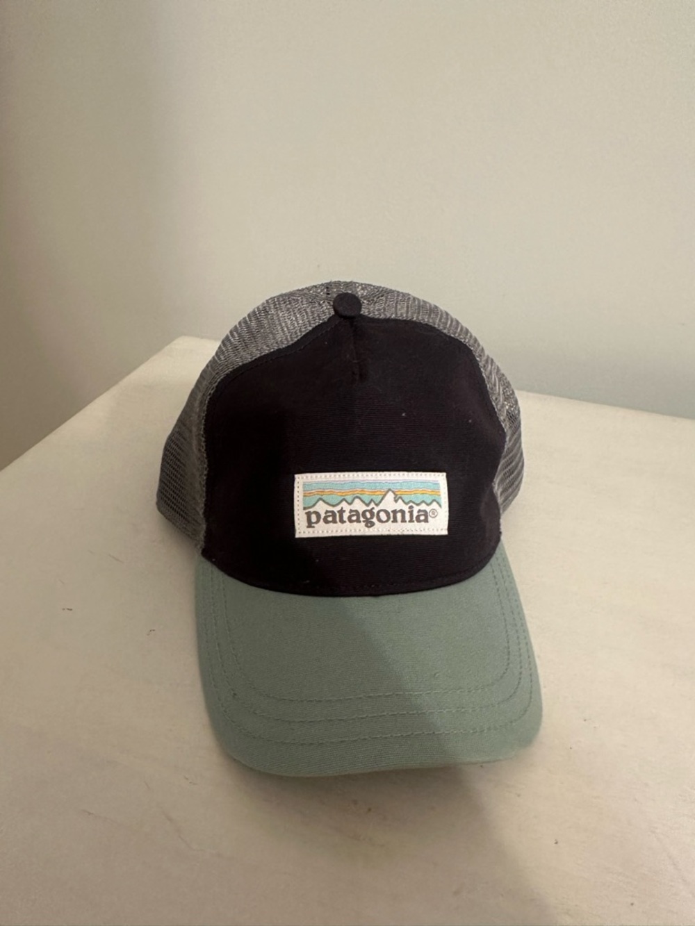 Patagonia Mesh Trucker Cap in Black and Light Green